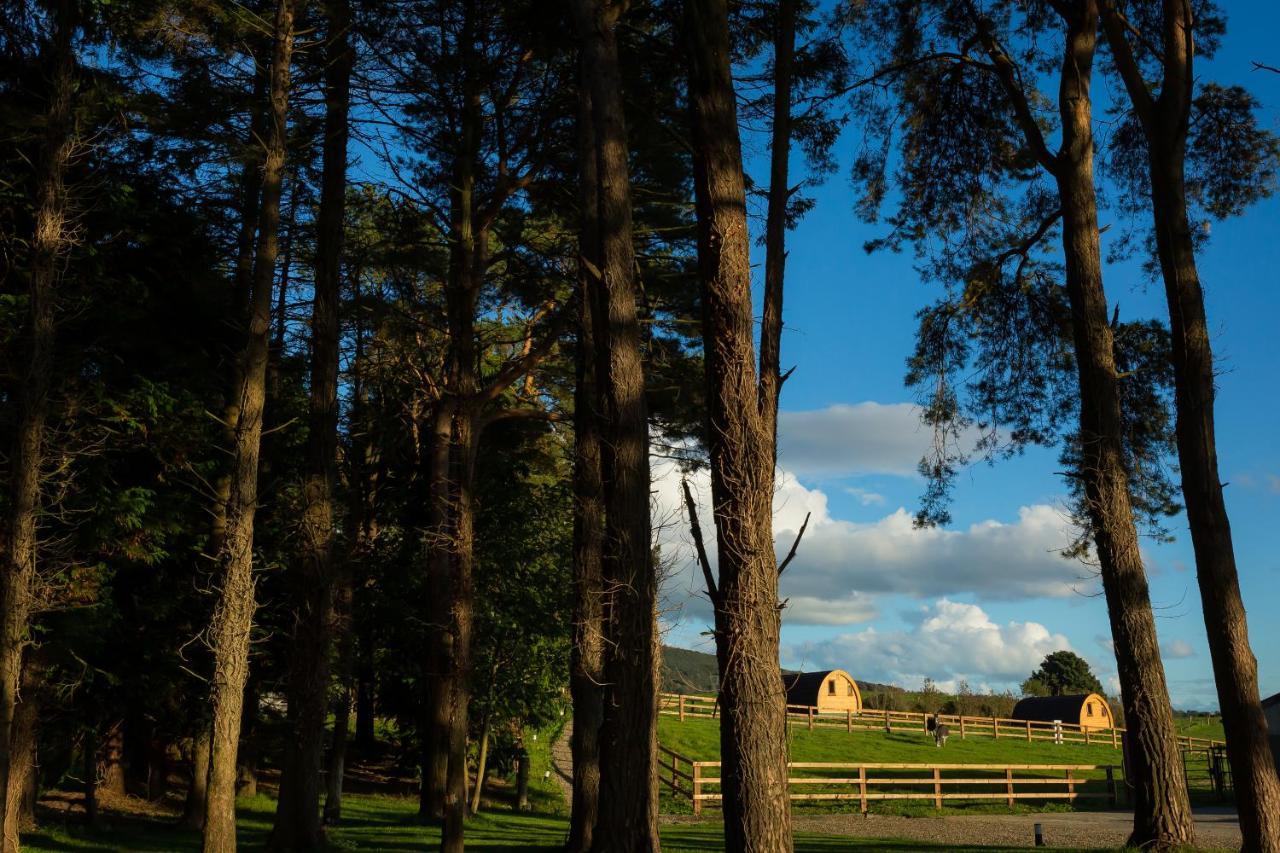Luxury Two-Bed Glamping Pod In County Clare 2 Villa Kilbane Exterior photo